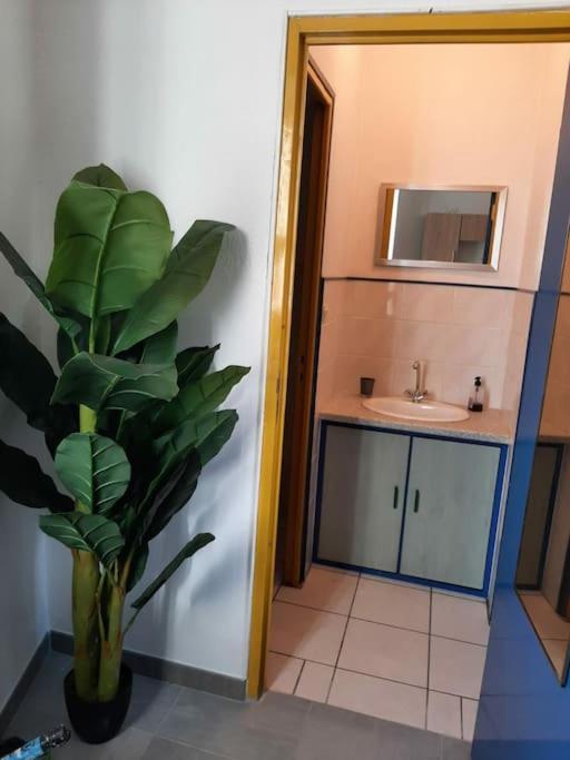 Ferienwohnung Confortable En Hyper Centre Parking Gratuit Dans La Rue Acces Avec Boite A Clee Castres  Exterior foto